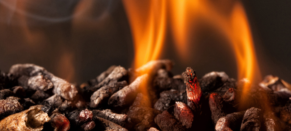 Energieberatung im Zentrum Holz in Olsberg