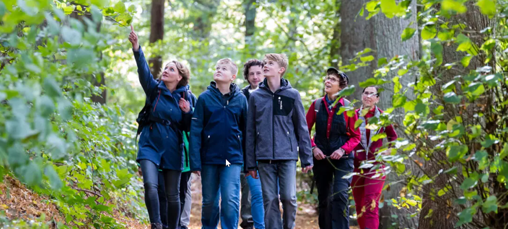 Sauerländischer Gebirgsverein kann Ehrenamtsprojekt starten