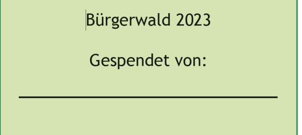 Neuer Bürgerwald für Olsberg