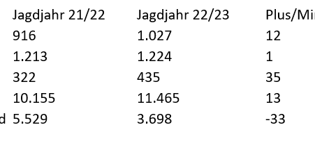 Rekordstrecken bei Rehwild im Sauerland