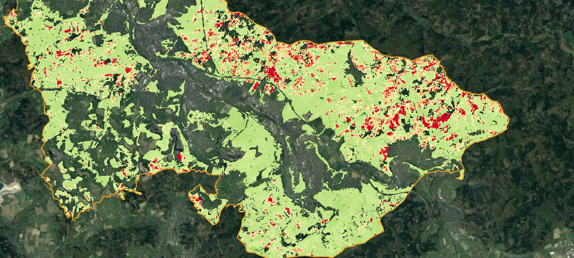 Waldmonitor Arnsberg zeigt Zustand des Waldes