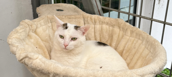 Zum Nachhören: Das Radio Sauerland EM-Orakel