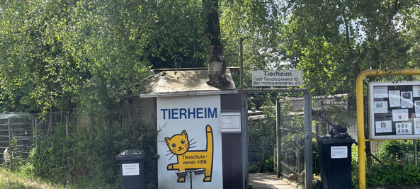 Zum Nachhören: Das Radio Sauerland EM-Orakel