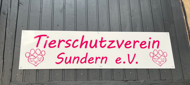 Zum Nachhören: Das Radio Sauerland EM-Orakel