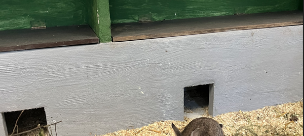 Zum Nachhören: Das Radio Sauerland EM-Orakel