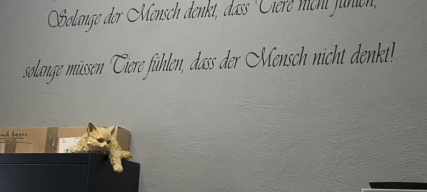 Zum Nachhören: Das Radio Sauerland EM-Orakel