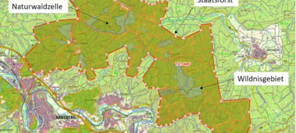 Bürgerbegehen "Nationalpark Arnsberger Wald"