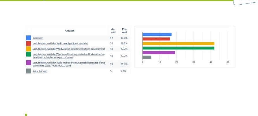 Hallenberg und die Zukunft des Stadtwaldes