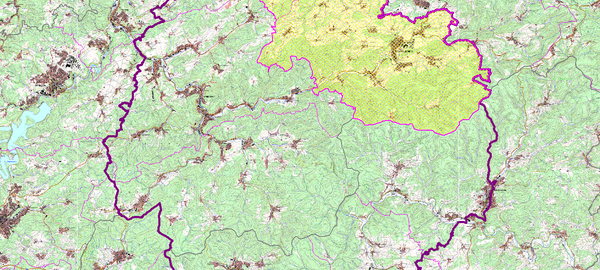 Sauerland: Wildschwein mit afrikanischer Schweinepest gefunden