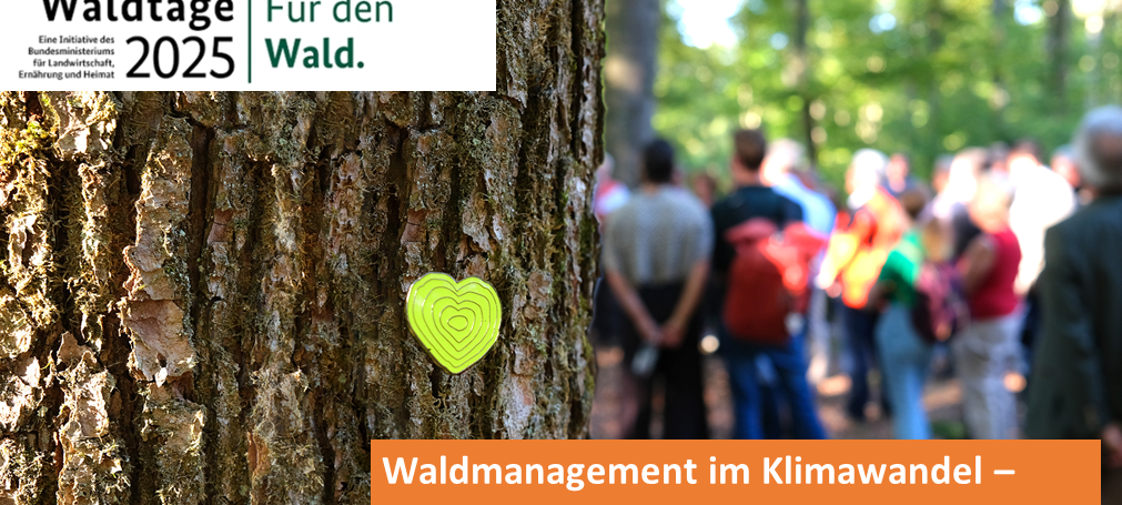 Aktionen für den Wald im Sauerland
