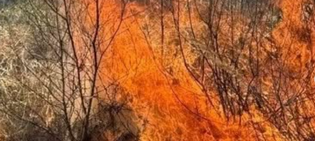 Sauerland: Aufräumarbeiten Waldbrand