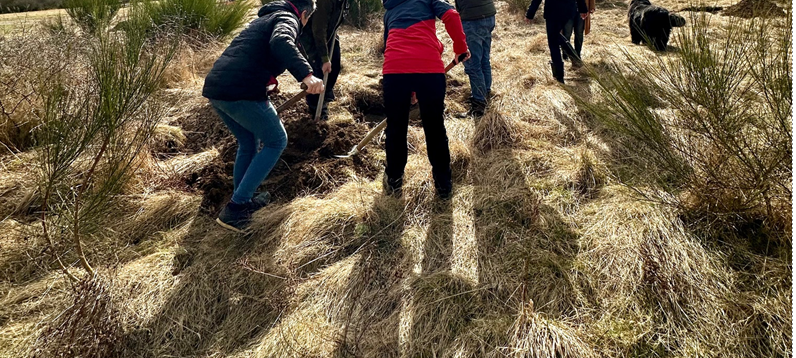 Baumpflanzaktion in Hallenberg Braunshausen