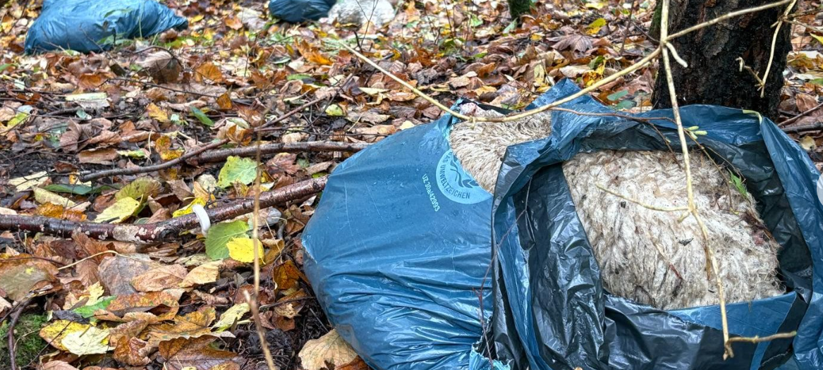 Meschede: Schafskadaver im Wald entsorgt