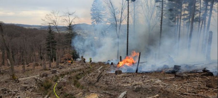 Sauerland: Wald und Holz warnt vor Waldbrandgefahr