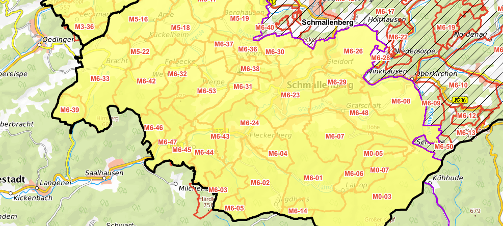 Sauerland: Neue Pufferzone gegen Schweinepest