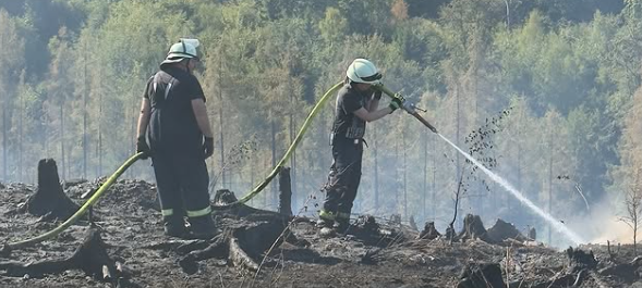 Brand in Stemel: Waldbrand ist eingedämmt