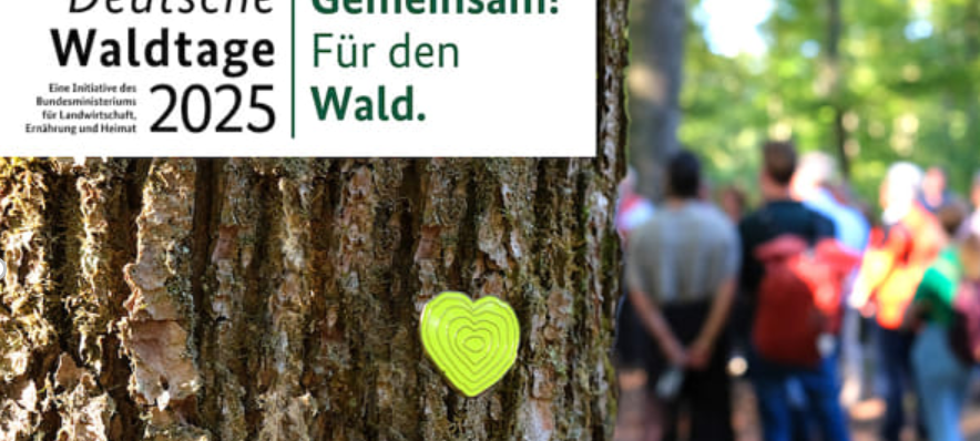 Start der Deutschen Waldtage